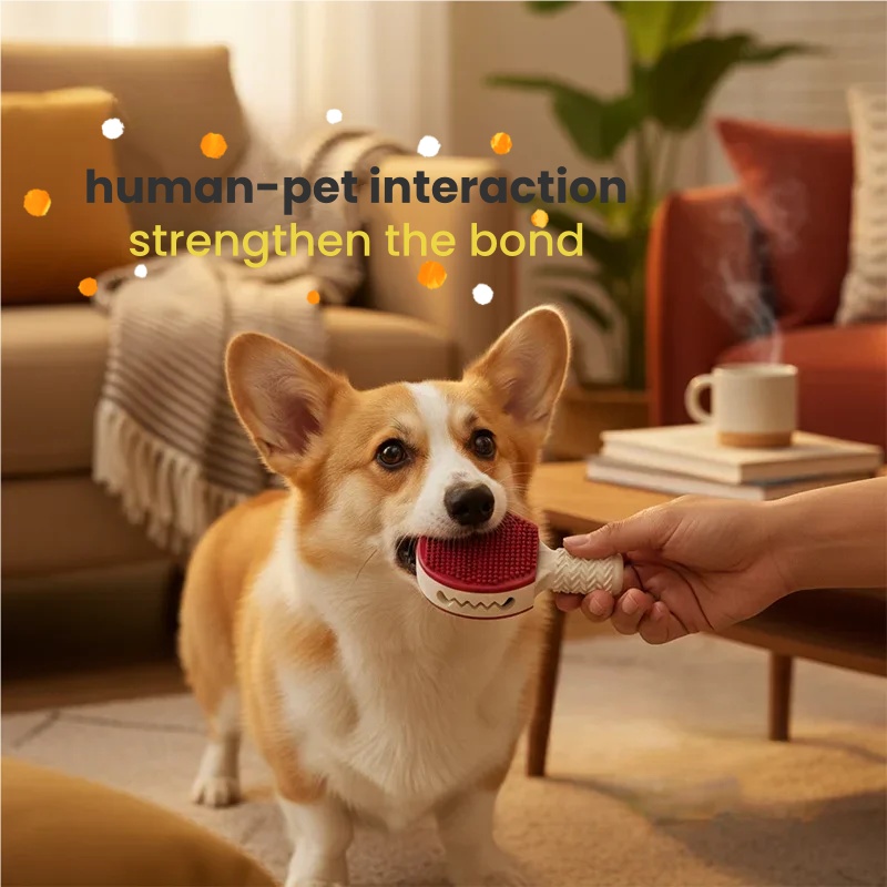 Badminton Şekli Kauçuk Köpek Ç - Badminton Xxl incelemesi ve fiyatı
